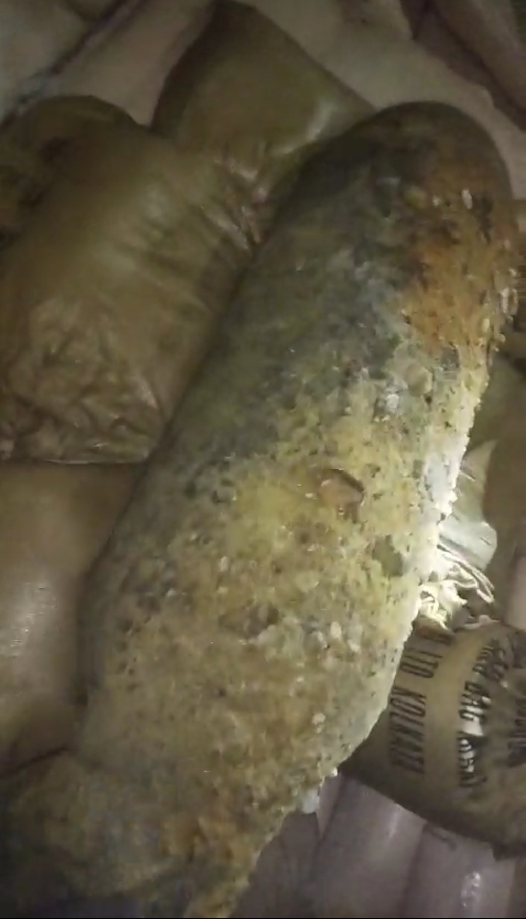 सुवर्णरेखा नदी किनारे मिले सिलेंडर बम को सेना ने