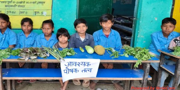 प्राथमिक विद्यालय छुरछुरिया में पोषण पखवाड़ा के तहत जागरूकता कार्यक्रम आयोजित