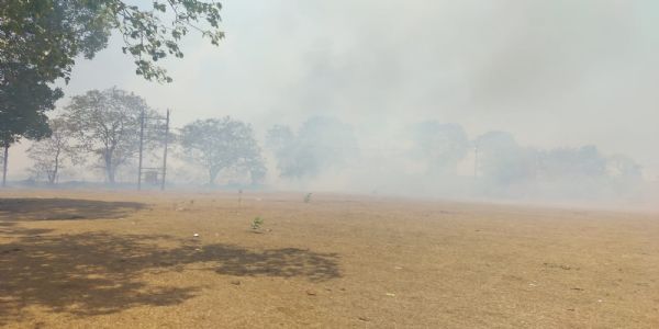 अनूपपुर: अमरकंटक के जमुना दादार, रुद्र गंगा भीषण आग, 50 हेक्टेयर क्षेत्र में 27,500 औषधीय पौधे जलकर राख