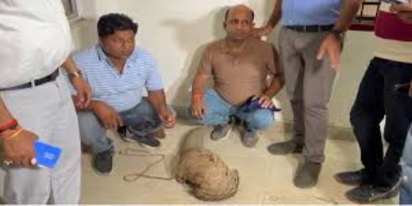 जिंदा पैंगोलिन के साथ वन विभाग ने दो तस्करों को किया गिरफ्तार