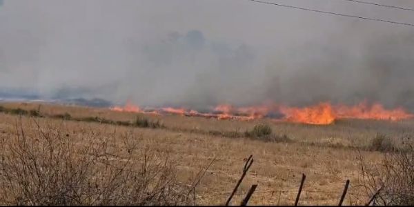 मैहर जिले में नरवाई जलाने से बढ़ रहीं आगजनी की घटनाएं, प्रशासन से सख्त कार्रवाई की मांग