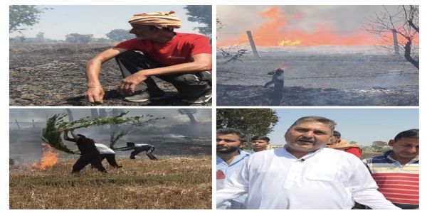 कुके चक में भीषण आग से 200 कनाल गेहूं की फसल राख, किसानों ने मुआवजे की लगाई गुहार
