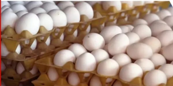 असम में फिर बढ़े अंडों के दाम, प्रति प्लेट 30 रुपये की बढ़ोतरी