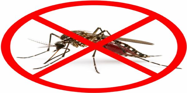 जोधपुर को मलेरिया मुक्त जिला बनाने का संकल्प