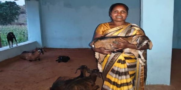 एनआरएलएम : बलरामपुर की सोनमणि बनीं ‘लखपति दीदी’, खेती और पशुपालन से बढ़ाई आय