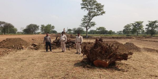 दर्जनों पेड़ कटने के बाद जागा प्रशासन, लकड़ियां जब्त, कार्रवाई अब भी अधर में