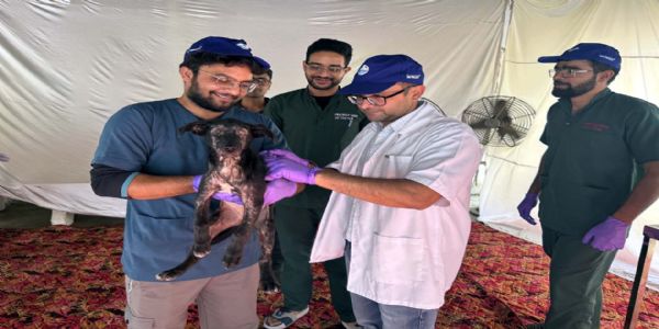 हिसार : ‘वन हेल्थ’ की अवधारणा को साकार करने में भी अहम भूमिका निभाते पशु चिकित्सक : डॉ. विनोद कुमार वर्मा