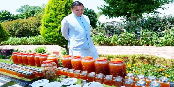 मुख्यमंत्री ने शहद उत्पादन का किया अवलोकन,45 दिनों में 520 किलोग्राम उत्पादन