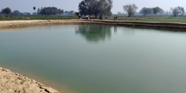 तालाब के साथ मछली पालन और जलीय खेती से किसान कर सकेंगे दोहरी आमदनी : आर.पी. कुशवाहा