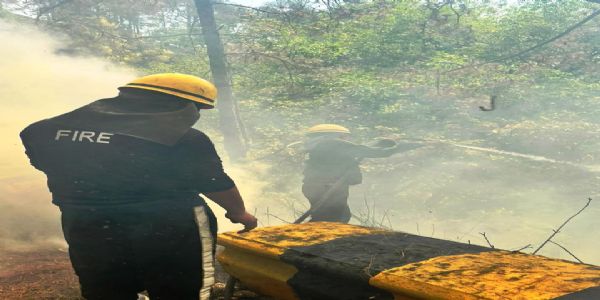 हल्द्वानी रोड पर बेलुवाखान के समीप जंगल में लगी आग, अग्निशमन कर्मियों ने बुझाई