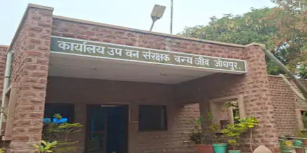 वन्यजीवों के लिए सिर्फ छह लाख का बजट : चिन्हित स्थानों पर टैंकरों से पहुंचाया जाएगा पानी