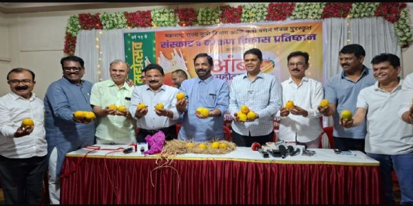 ठाणे में 1 मई से आम महोत्सव, शुद्ध हापुस सीधे उपभोक्ता तक