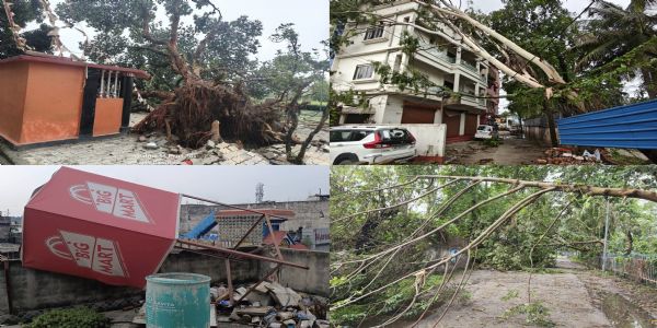 किशनगंज में आधी रात का तूफान बना कहर, पेड़ उखड़े, बिजली आपूर्ति ठप