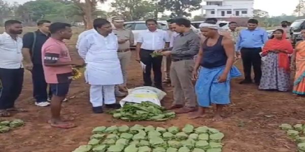 वन मंत्री केदार कश्यप ने तेंदुपत्ता फड़ दहिकोंगा का किया औचक निरीक्षण