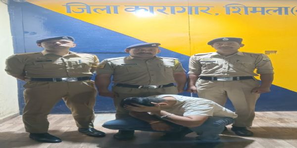 शिमला : नशा तस्करी पर सख्ती, आदतन आरोपी को भेज़ा जेल