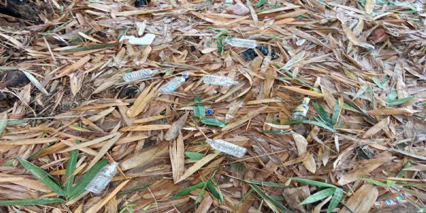 बलुआ चौक पर खुलेआम शराब कारोबार, पुलिस की चुप्पी पर उठे सवाल