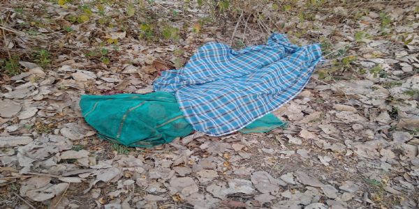 अनूपपुर: भोलगढ के जंगल में जंगली हाथी ने महिला की उतारा मौत के घाट, पति, पुत्र घायल