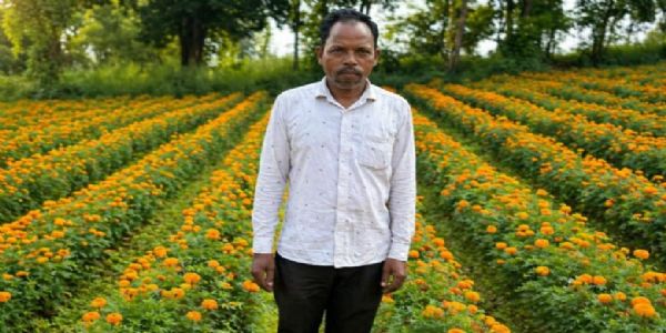 गेंदे की खेती से चमकी ईश्वरचरण की किस्मत, कम लागत में मिला रहा ज्यादा मुनाफा