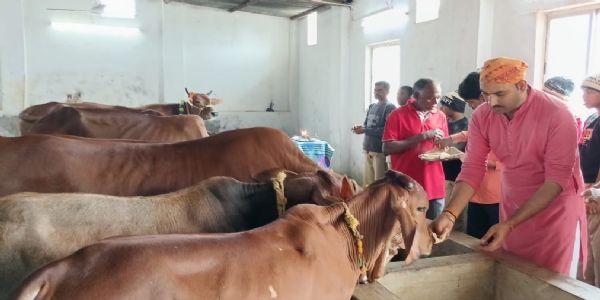 पुंदाग के श्री राधा कृष्ण प्रणामी मंदिर में श्रद्धाभाव से मनाई गई मोहिनी एकादशी और गौ सम्मान दिवस