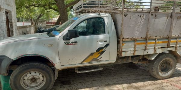 पशु तस्कर चार गौवंश के साथ गिरफ्तार, पिकअप बरामद