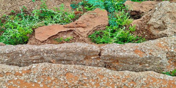 तमिलनाडु में मिला 8–12 हजार साल पुराना जीवाश्म स्थल