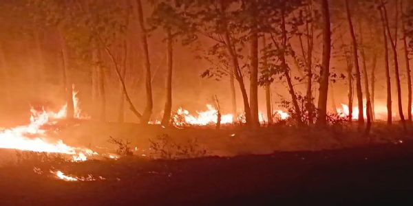 पानीपत: भीषण गर्मी से हर्बल पार्क व जंगल में लगी आग