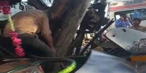 भोपाल-इंदौर हाईवे पर हादसा, पेड़ से टकराई यात्री बस, हेल्पर की मौत