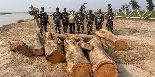 एसएसबी ने भारी मात्रा में सागवान लकड़ी आठ नग और एक तस्कर को किया गिरफ्तार