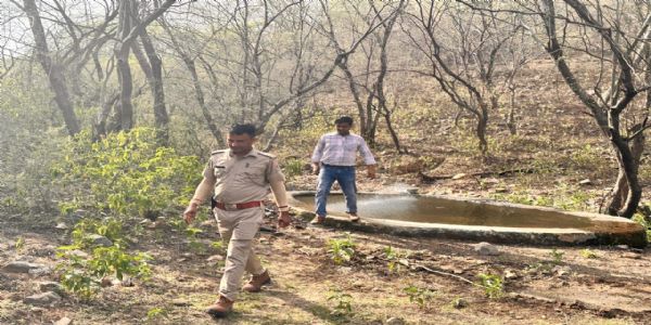 नाहरगढ़ जैविक उद्यान में वन्य जीव गणना की तैयारियां पूरी: पहली बार महिला दल संभालेंगे जिम्मेदारी