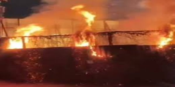 इंदौरः देर रात आतिशबाजी से मैरिज गार्डन जला, सुबह गोशाला में लगी भीषण आग, मवेशी झुलसे