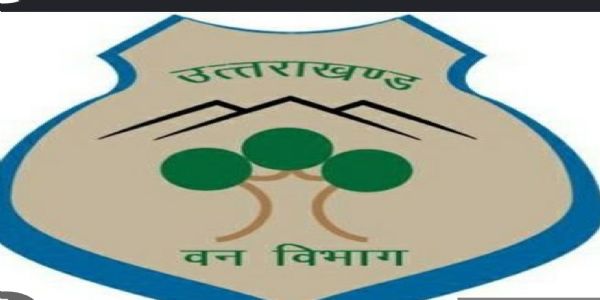 उत्तराखंड वनाग्नि : ढाई महीने में 236 घटनाएं, 171 हेक्टेयर से अधिक वन क्षेत्र प्रभावित