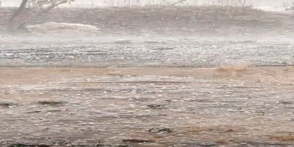 बारिश से मिली राहत, ओलों ने फसलें तबाह कीं