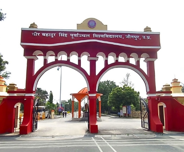 पूर्वांचल विश्वविद्यालय