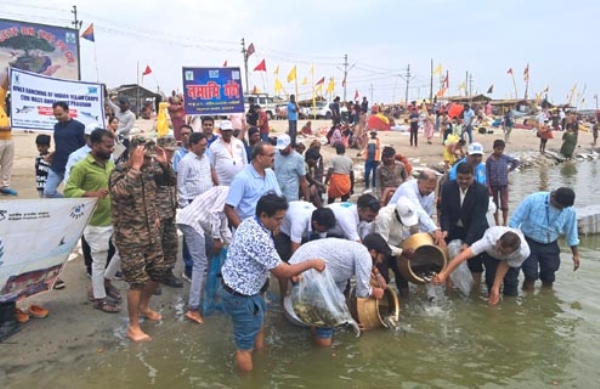 मछली छोड़ते