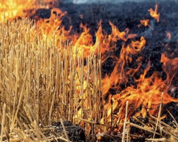 Stubble burning banned in Kathua, strict action will be taken against violators