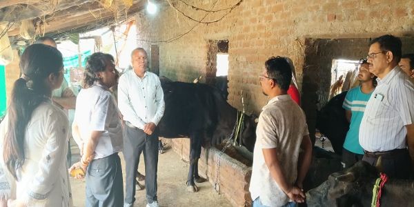 मप्रः पशुपालन विभाग के प्रमुख सचिव ने जबलपुर एवं मंडला जिले का किया भ्रमण