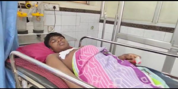 जंगली सुअर का हमला, दो ग्रामीण घायल