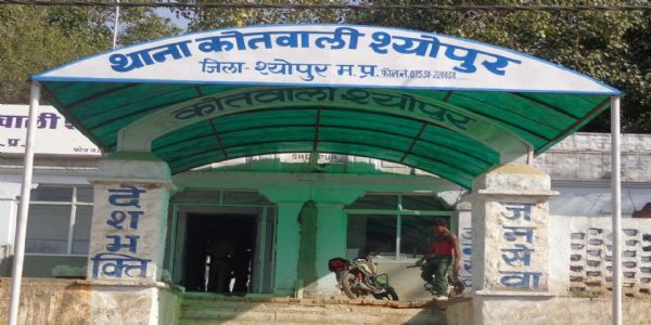 श्योपुरः टेलीग्राम ग्रुप पर पटवारी से 11 लाख से अधिक की सायबर ठगी