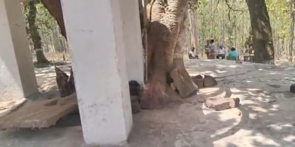 जशपुर : मंदिर में तोड़फोड़ व मूर्तियां खंडित, जल्द गिफ्तारी की मांग