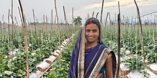 बलरामपुर : आजीविका मिशन से आत्मनिर्भर बनीं निर्मला, ड्रिप सिंचाई से खीरा खेती में कम लागत पर बड़ा मुनाफा