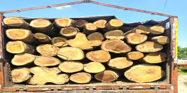 अवैध सागौन लकड़ी के साथ ट्रक पकड़ा, दो गिरफ्तार