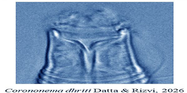 नई प्रजाति नई प्रजाति