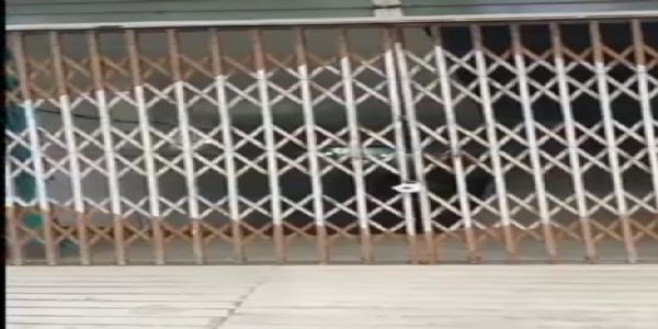 गर्भवती की मौत पर प्रशासन सख्त, नवजीवन क्लिनिक हुआ सील