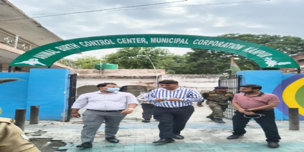 आवारा कुत्तों की पहचान के लिए माइक्रो चिप पर दिया जाए जोर : अर्पित उपाध्याय