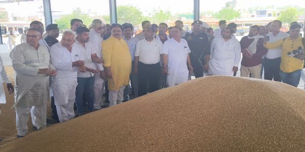 जींद : डिप्टी स्पीकर ने किया अनाज मंडी का निरीक्षण, खरीद प्रक्रिया का लिया जायजा