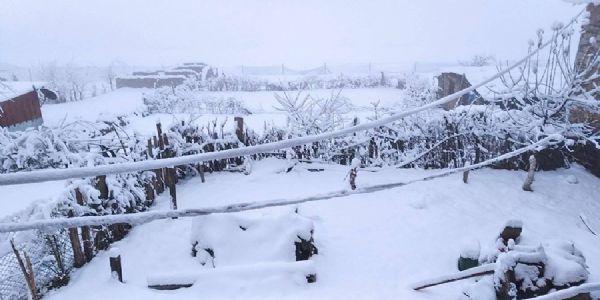 बर्फबारी और तेज बारिश से नेपाल का जनजीवन प्रभावित, किसानों की चिंता बढ़ी