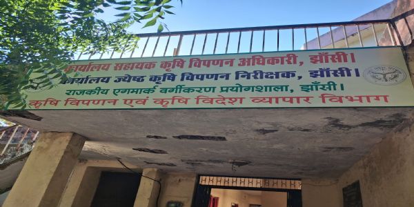 झांसी : मूंगफली और तुलसी के निर्यात को बढ़ावा देंगे क्लस्टर