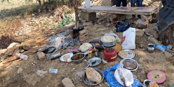खाना बनाते समय मधुमक्खियों के हमले से आठ श्रद्धालु घायल
