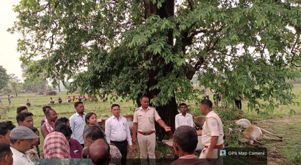 जांच करती टीम