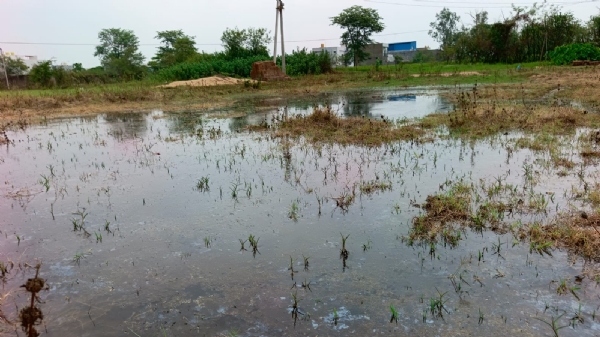 खेत का पानी इस तरह से खाली प्लाट में भर रहा है।
